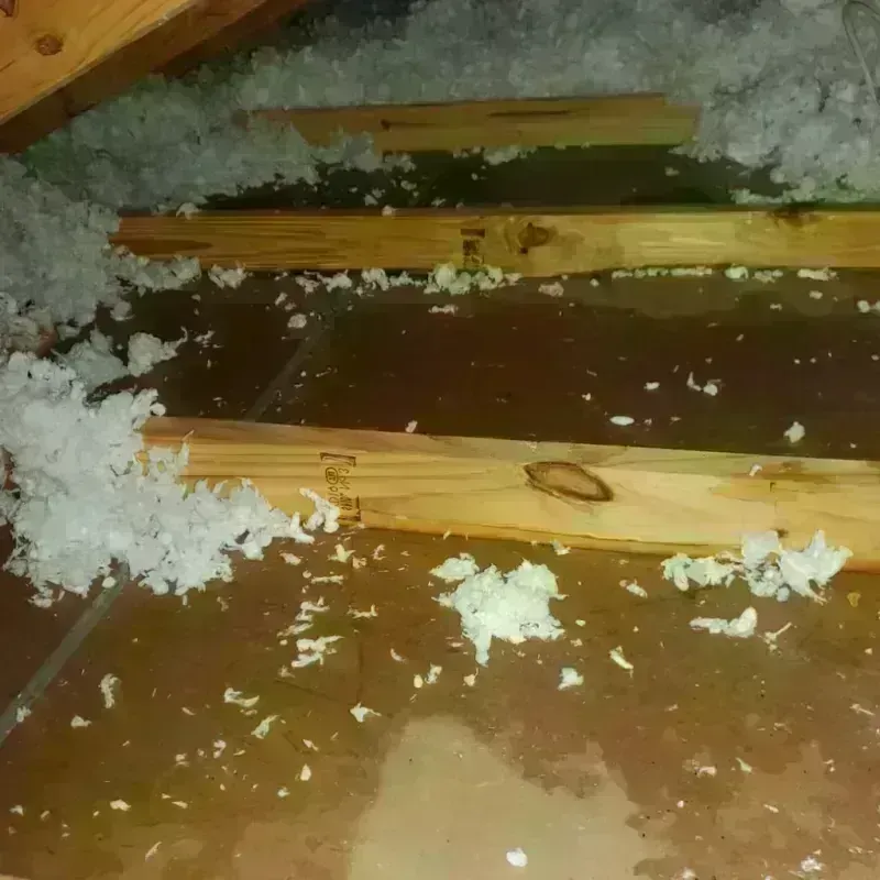 Attic Water Damage in Clinton, MT